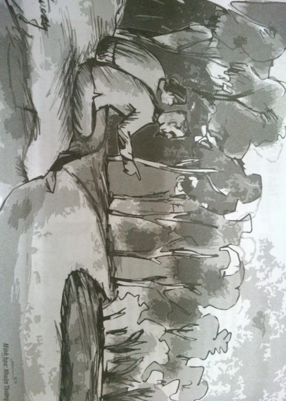 Thèm nhìn một cánh rừng ảnh 1 amhrung.jpg