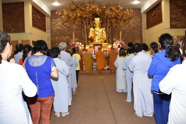 cung ha (1).jpg