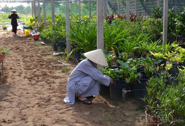 Truong ha-LMXuan (32).JPG