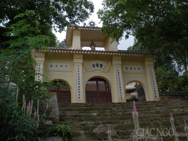 P1010626.JPG