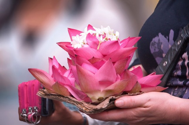 donguoihaphoi (1).jpg