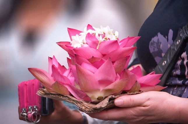 donguoihaphoi (1).jpg