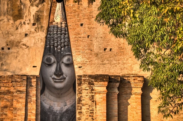 donguoihaphoi (2).jpg