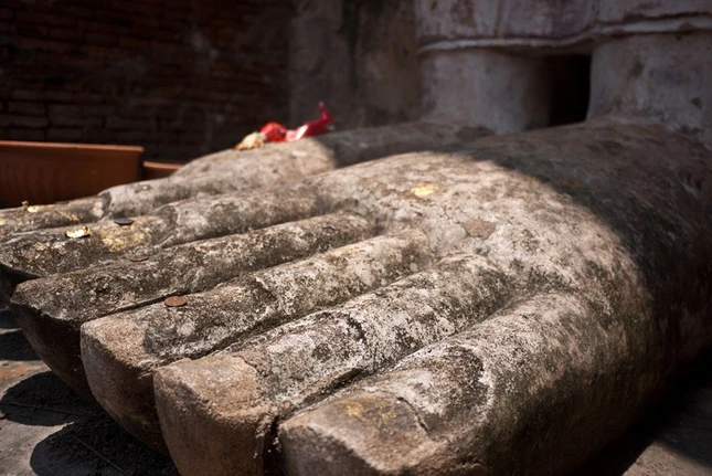 donguoihaphoi (3).jpg