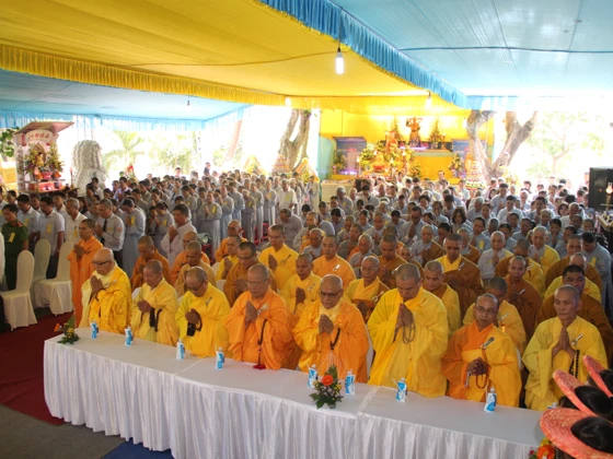 bonhiemHVSON (15).jpg