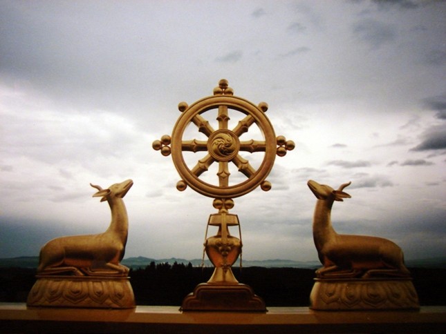 batchanhdao.jpg