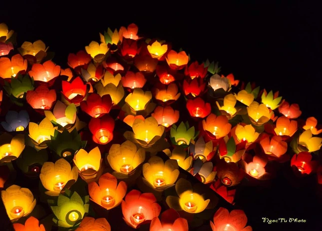 Hoa đăng tháng Bảy ở chùa Diệu Pháp (TP.HCM) ảnh 4 a hoa dang 1.jpg