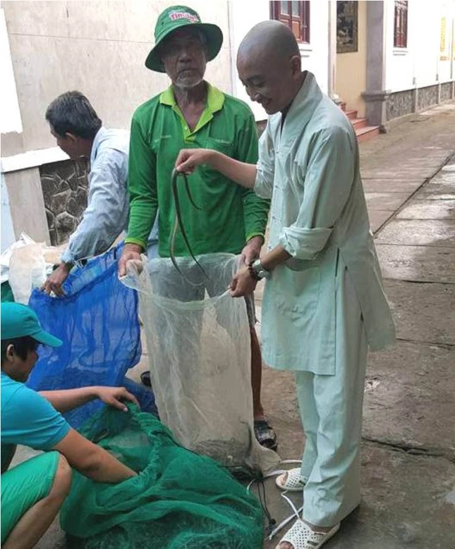 Ran dang duoc dua di phong sanh.jpg