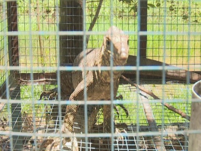 Ky da nuoc dang duoc cuu ho tai Trai.JPG