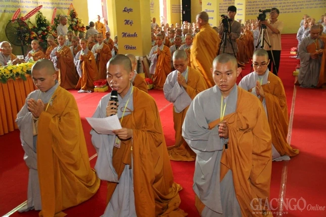 hinh KM (20).JPG