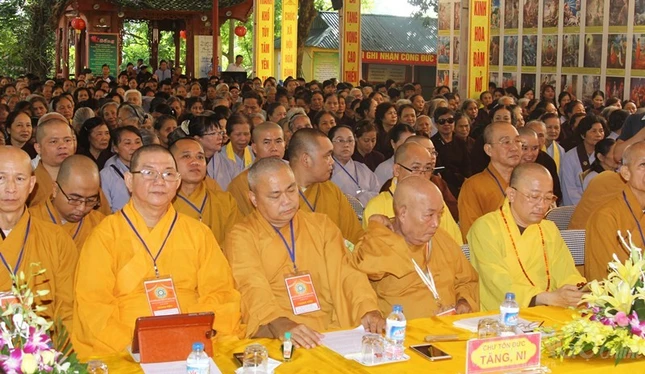 thainguyen (11).jpg