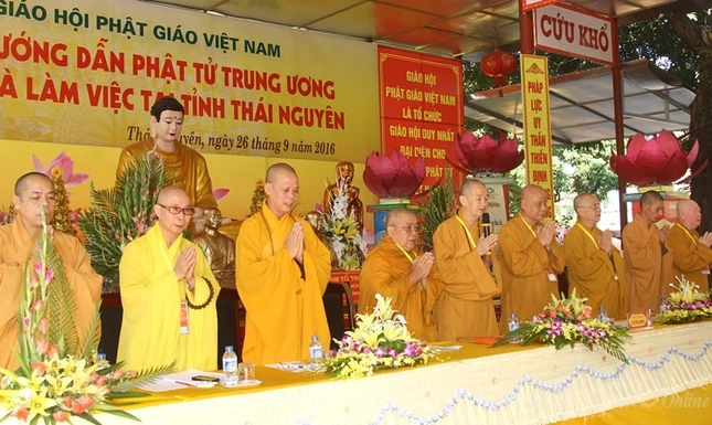 thainguyen (2).jpg