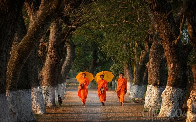 ngvthuong8.jpg