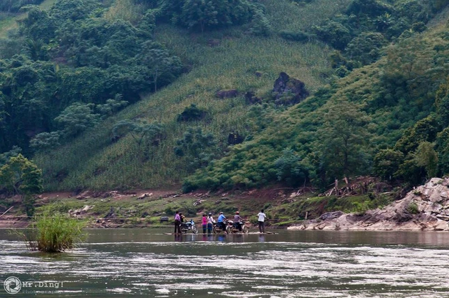 taman5.png