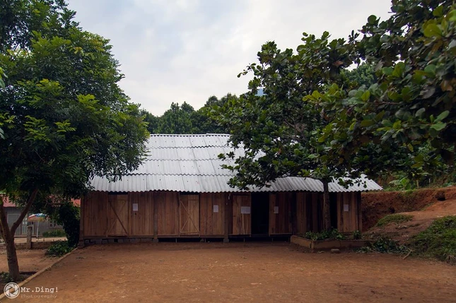 taman7.png