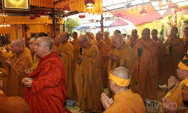 hinh  (2).jpg