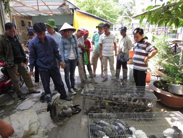 dai dien Cty Hoang So chuan bi tha chim co vao Vuon  QGTC.jpg