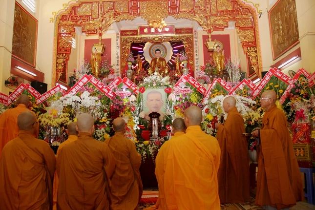 hoa khanh  (1).JPG