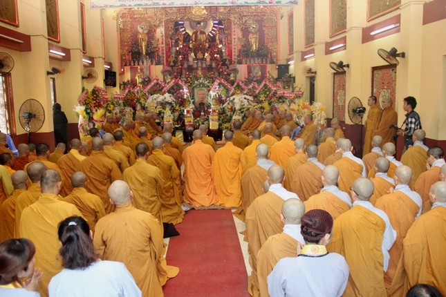 hoa khanh  (5).JPG