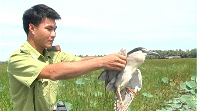 Tha chim Vac ve Vuon QGTC.jpg