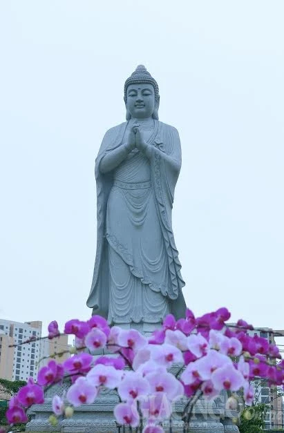 Chùm ảnh: Lễ vía Đức A Di Đà tại chùa Huê Nghiêm ảnh 13 a btoan.jpg