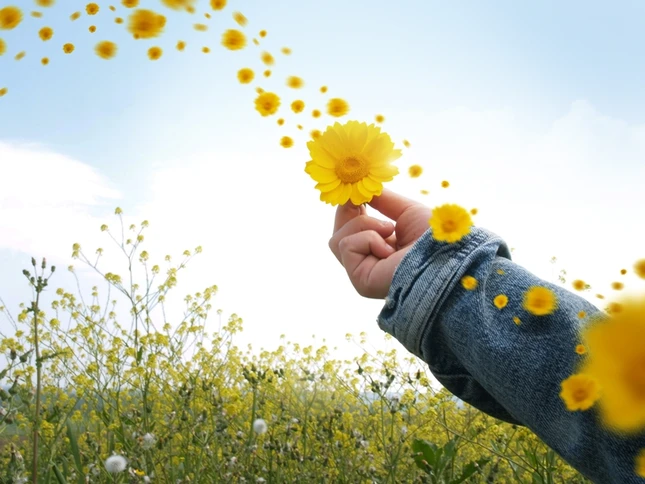 Làm sao gỡ dính mắc? ảnh 1 godinhmac.jpg