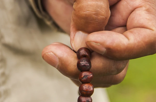 Trong gió, cuối năm ảnh 1 nguyendongnhat.jpg
