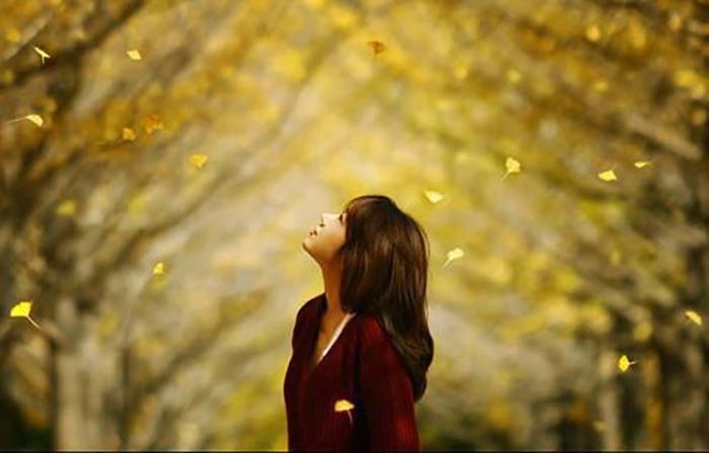 Đi qua đống đổ nát ảnh 1 aminhhoa.jpg