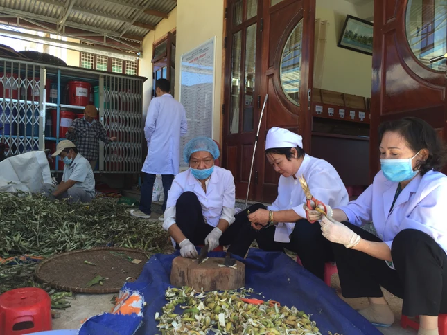 Bóng blouse trắng giữa xứ hoa ảnh 4 linhtoan3.JPG