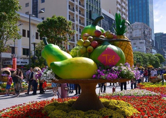 Duong Hoa Nguyen Hue - Xuan Dinh Dau (10).JPG