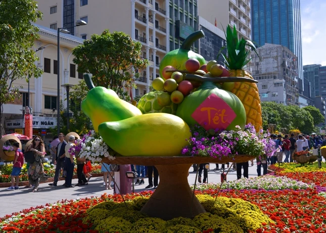 Duong Hoa Nguyen Hue - Xuan Dinh Dau (10).JPG