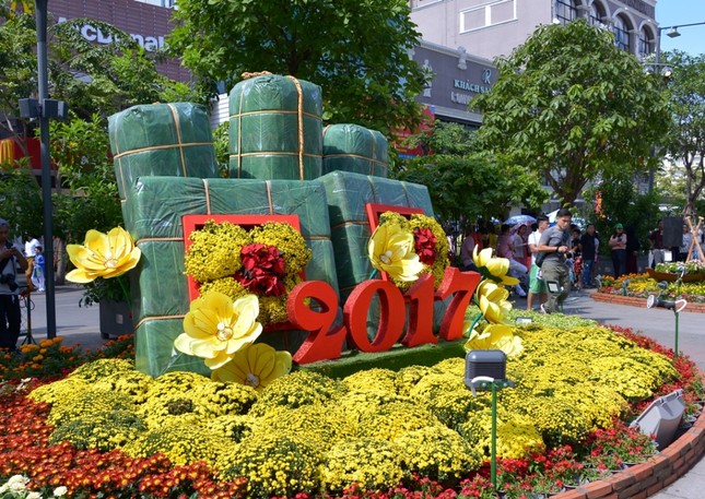 Duong Hoa Nguyen Hue - Xuan Dinh Dau (12).JPG