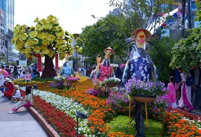 Duong Hoa Nguyen Hue - Xuan Dinh Dau (13).JPG