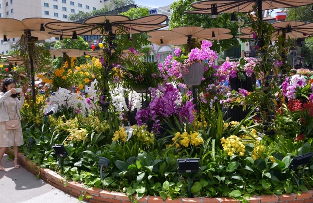 Duong Hoa Nguyen Hue - Xuan Dinh Dau (16).JPG