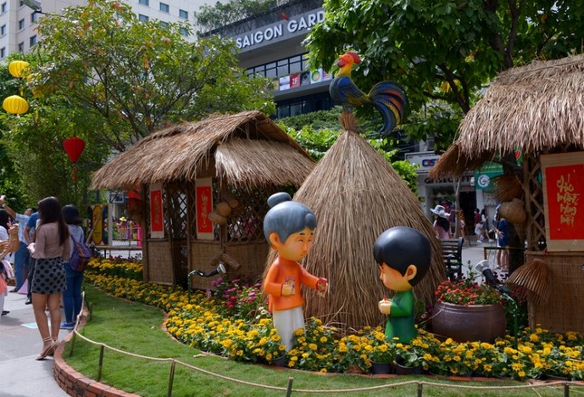 Duong Hoa Nguyen Hue - Xuan Dinh Dau (17).JPG