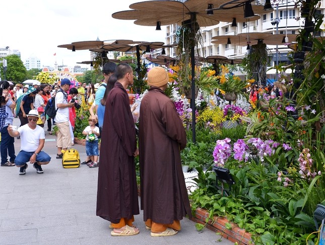 Duong Hoa Nguyen Hue - Xuan Dinh Dau (18).JPG