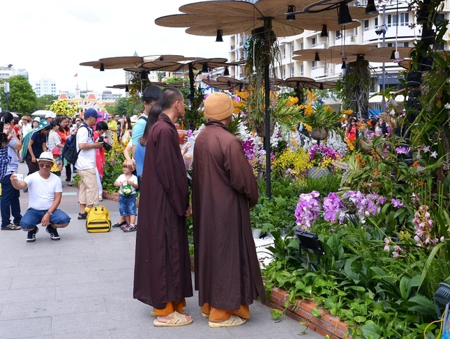 Duong Hoa Nguyen Hue - Xuan Dinh Dau (18).JPG