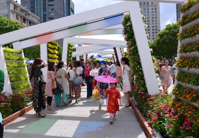 Duong Hoa Nguyen Hue - Xuan Dinh Dau (22).JPG