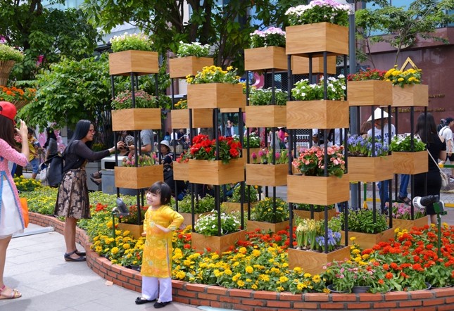 Duong Hoa Nguyen Hue - Xuan Dinh Dau (26).JPG