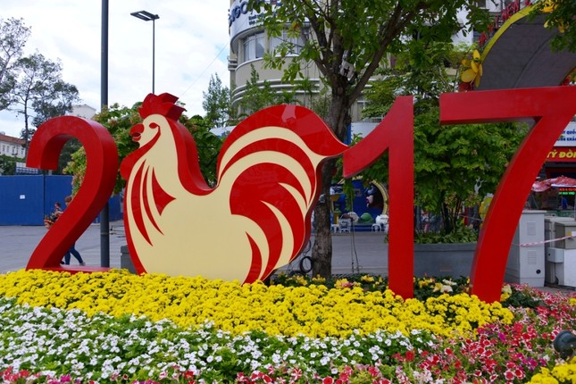 Duong Hoa Nguyen Hue - Xuan Dinh Dau (4).JPG