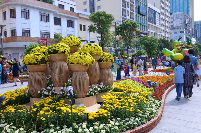 Duong Hoa Nguyen Hue - Xuan Dinh Dau (9).JPG