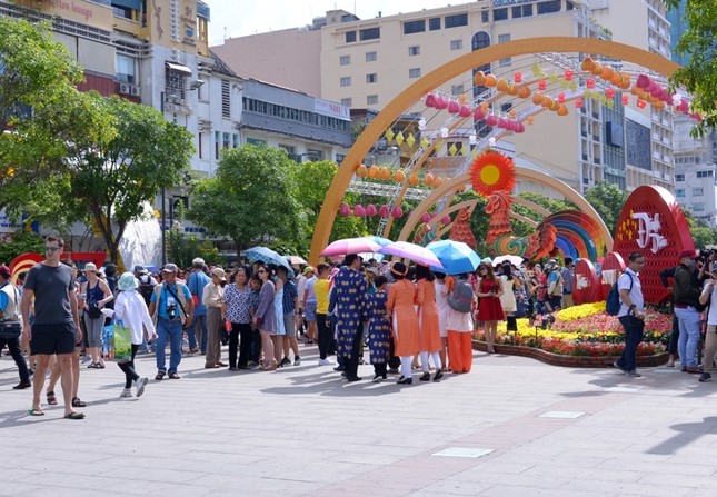 Duong hoa Nguyen Hue - Xuan Dinh Dau (1).JPG