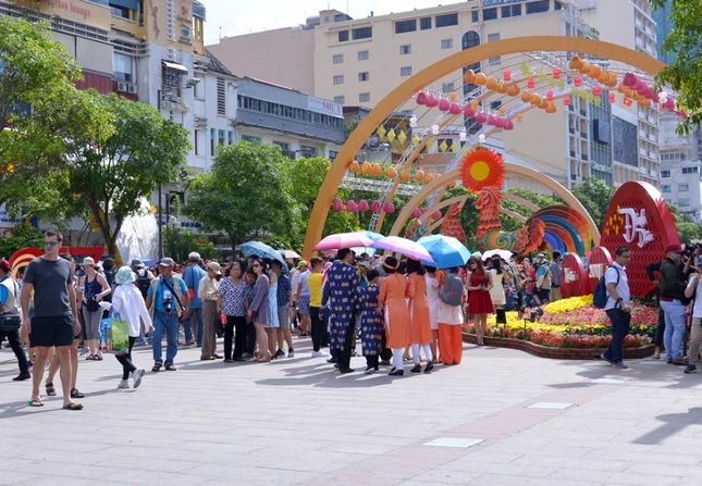 Duong hoa Nguyen Hue - Xuan Dinh Dau (1).JPG