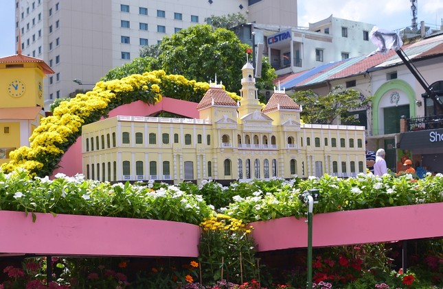 Duong hoa Nguyen Hue - Xuan Dinh Dau (15a).JPG