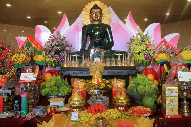 IMG_6576 (Large).JPG