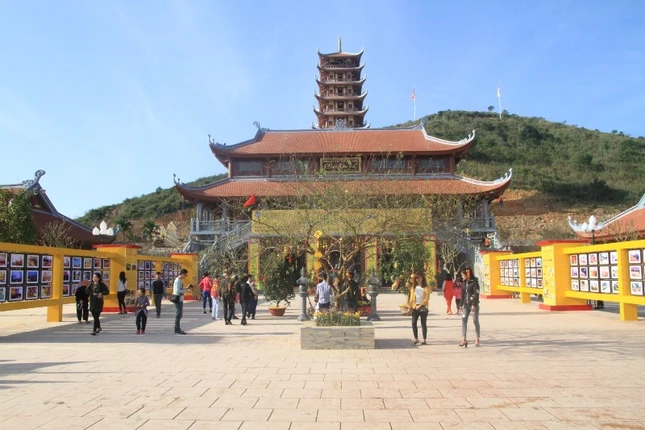 IMG_6613 (Large).JPG