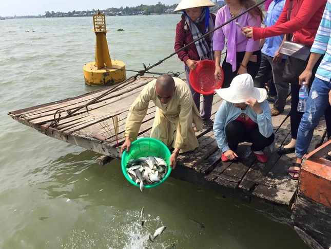 DD Thich Thien Quy phong sanh ca   tren sonh Tien.jpg