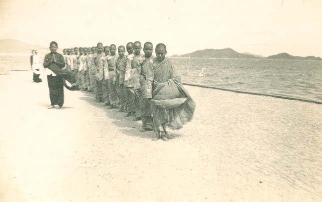 nitruong HL.jpg