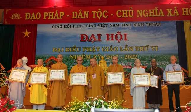 hinh  (23).JPG