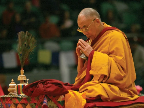 bac-si-trai-nghiem-thien-cung-duc-dat-lai-lat-ma